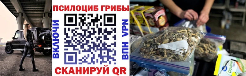 даркнет сайт Воскресенск Галлюциногенные грибы Cubensis
