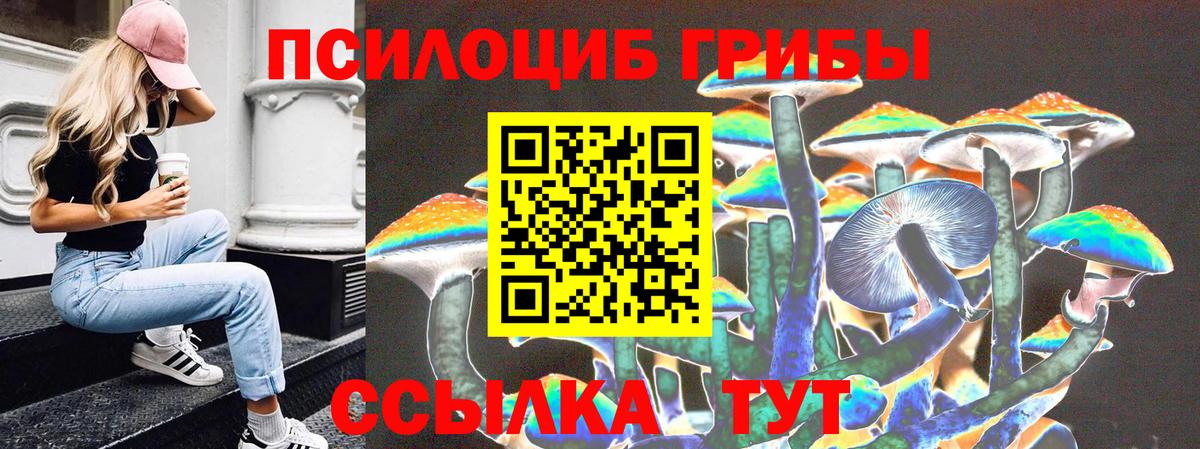 Воскресенск  цена наркотик  Вход с VPN  Галлюциногенные грибы Cubensis  Псилоцибиновые грибы Cubensis 